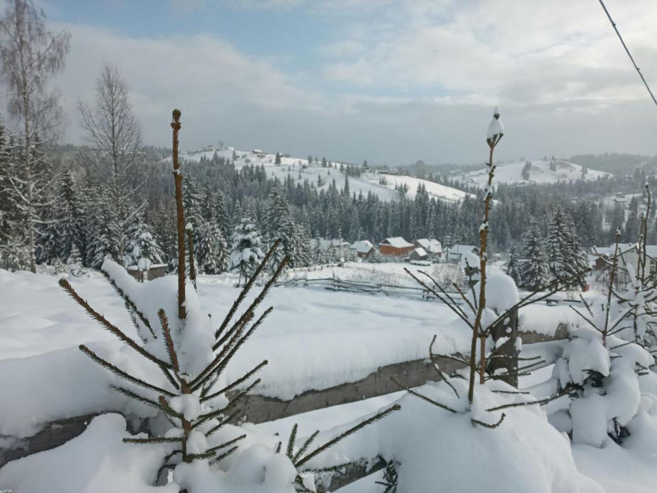 Котеджі Зоряне Небо Bukovel Exteriör bild