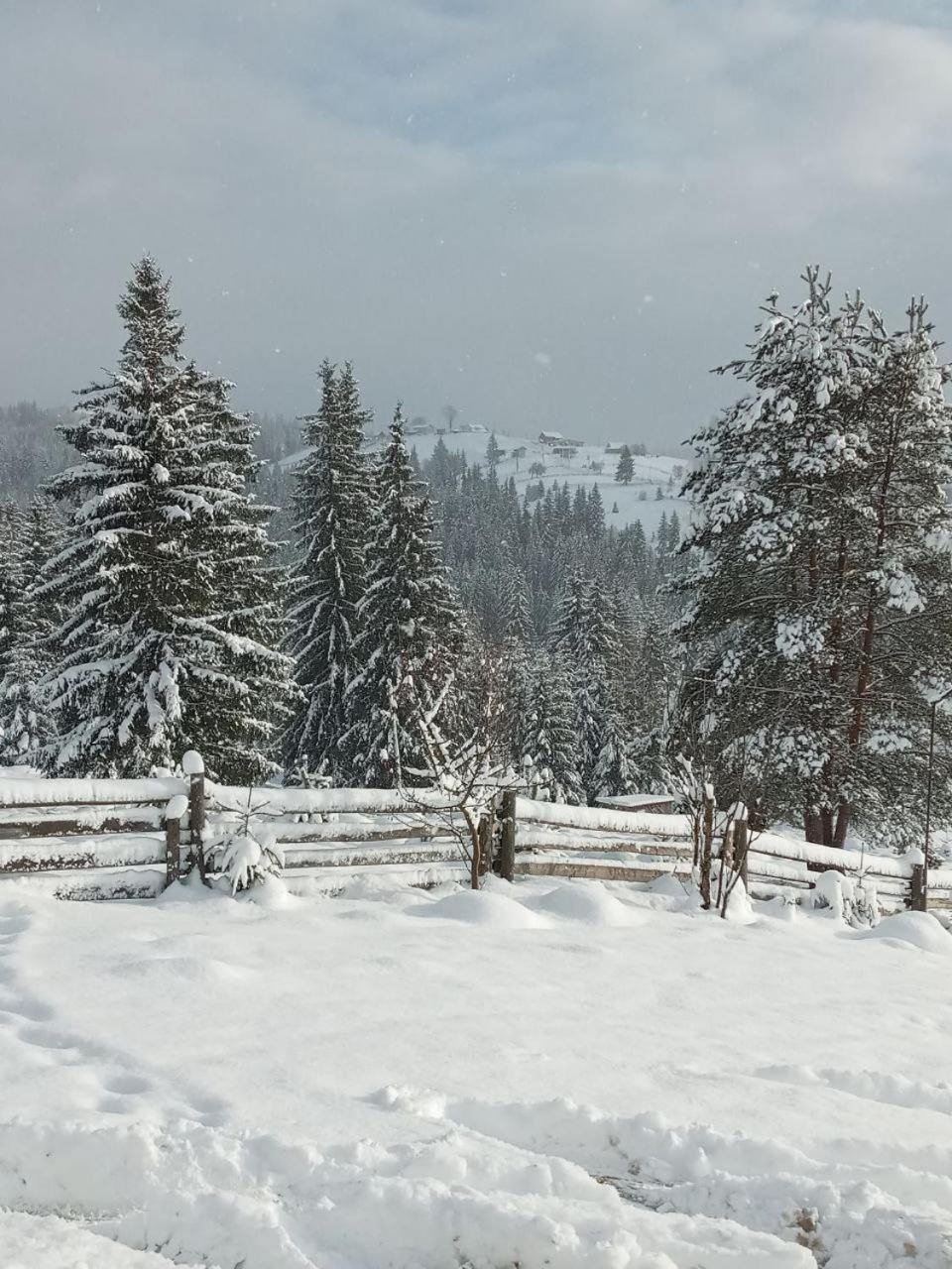 Котеджі Зоряне Небо Bukovel Exteriör bild