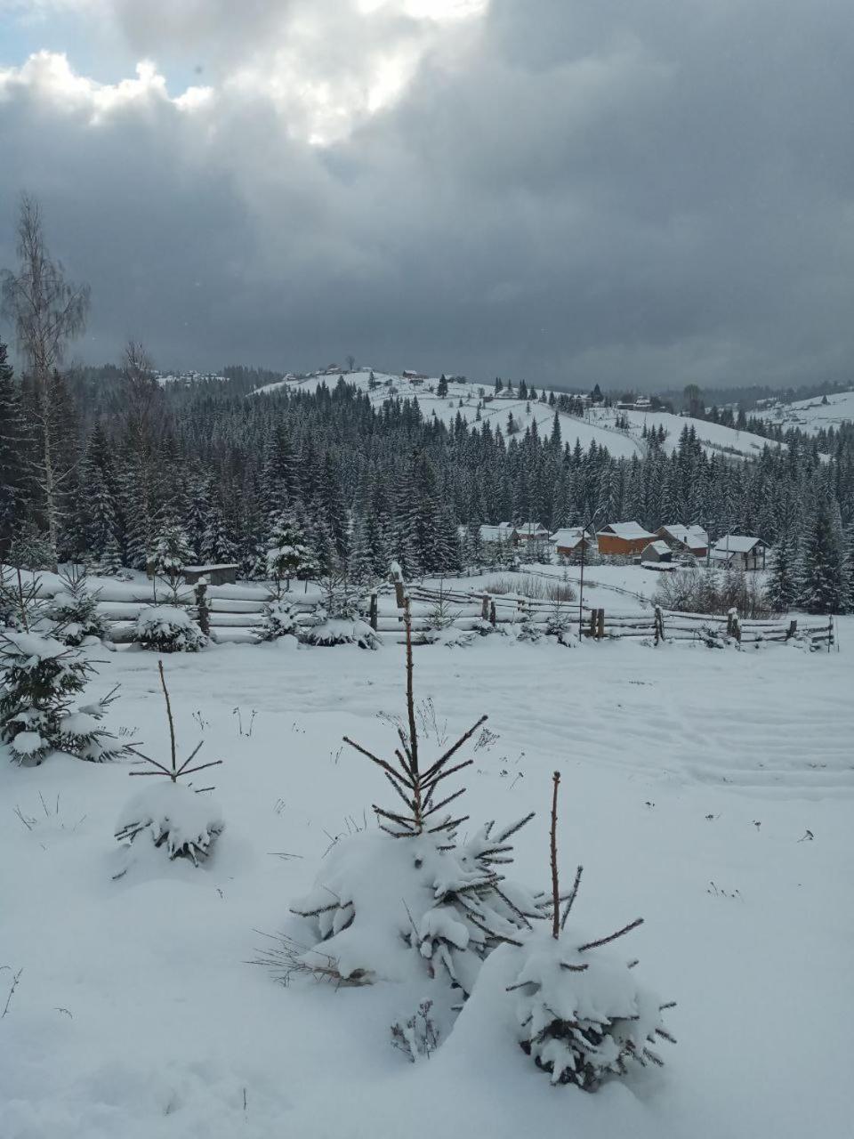 Котеджі Зоряне Небо Bukovel Exteriör bild
